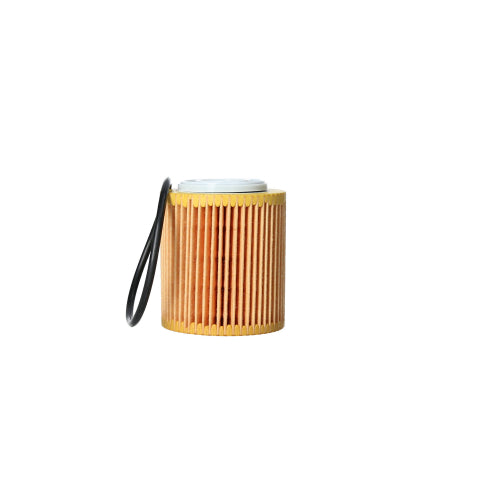 FILTRO DE ACEITE FO045FT