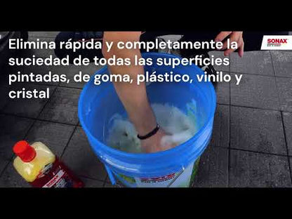 Shampoo Concentrado Para Carrocería 1 Lt PH Neutro